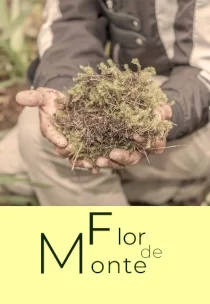 FLOR DE MONTE