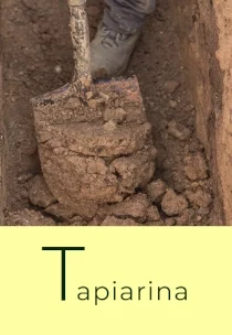 TAPIARINA