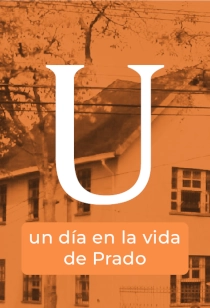 UN DÍA EN LA VIDA DE PRADO