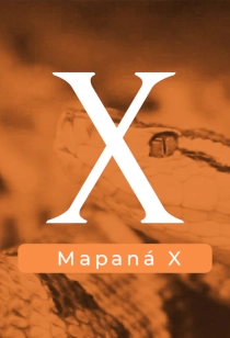 MAPANÁ X