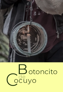 BOTONCITO DE COCUYO