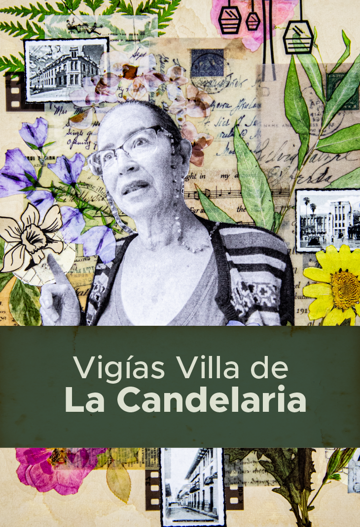 VIGÍAS VILLA DE LA CANDELARIA