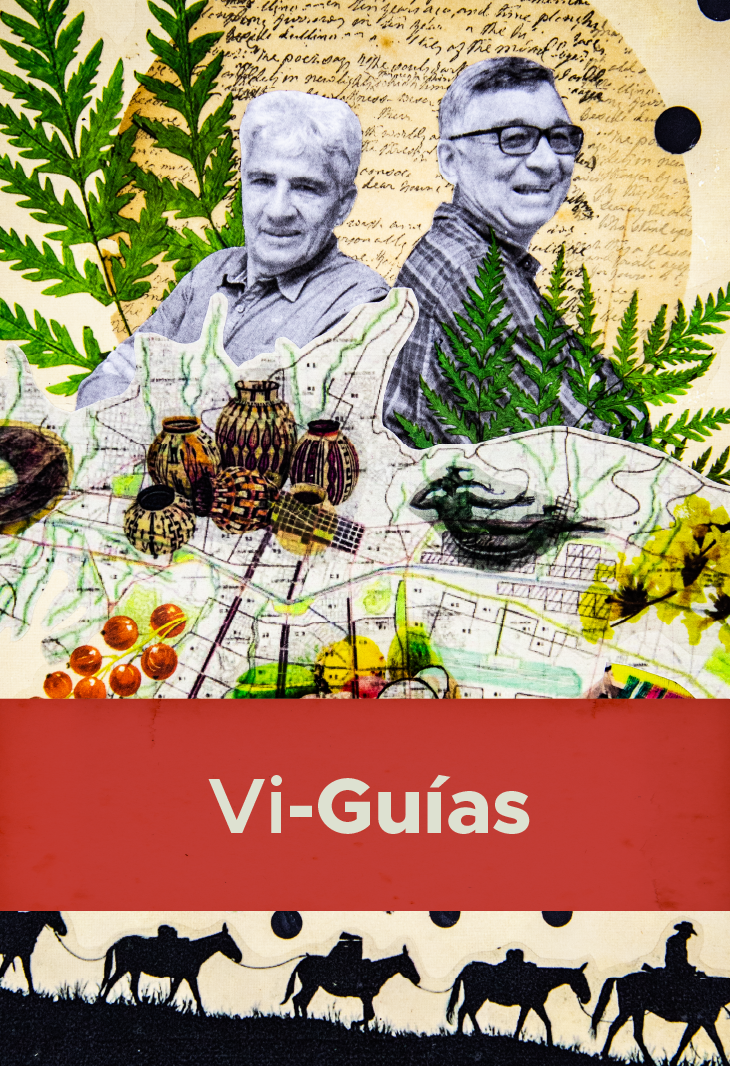 VI-GUÍAS